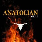 Кафе-гриль «Anatolian Grill» Кафе-гриль «Anatolian Grill»